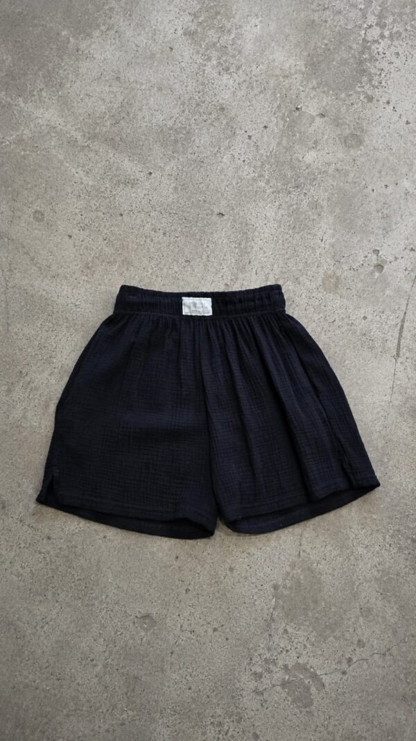 Short Summi