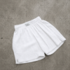 Short Summi