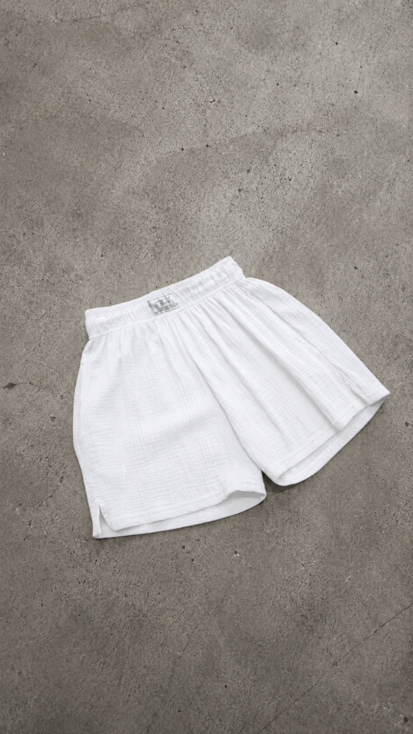 Short Summi
